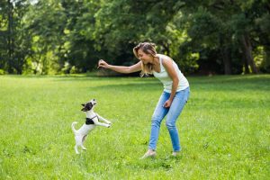 playing with your puppy to help lose weight
