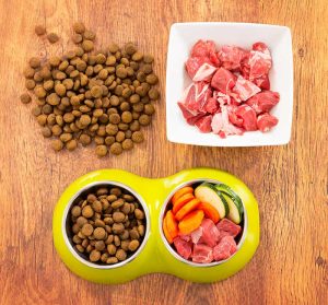 is raw dog food the diet for my dog?